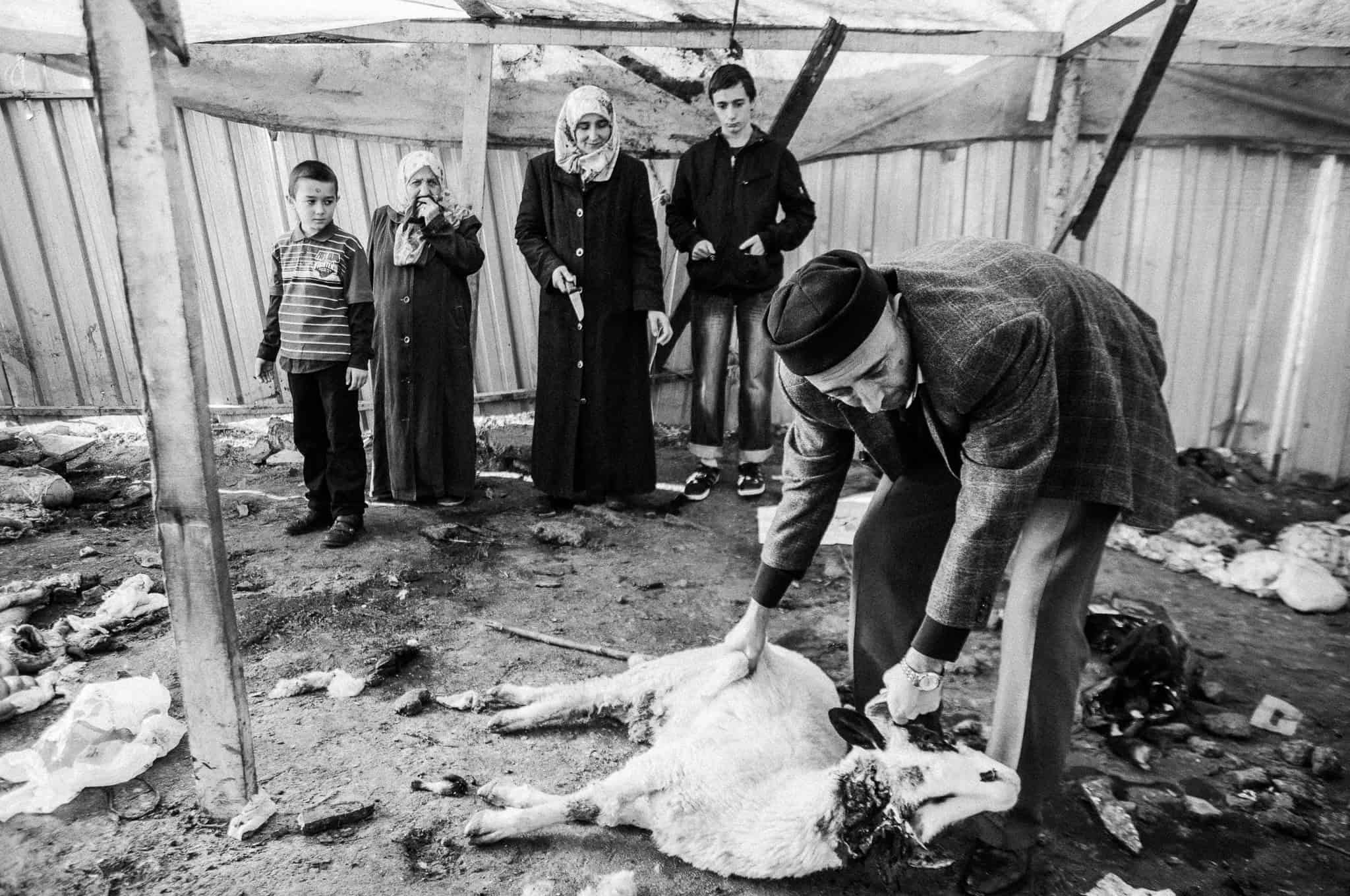 Kurban — The Sacrifice, Feriköy Istanbul 2009, photograph 11, documentary photography by Tarık Kaan Muslu