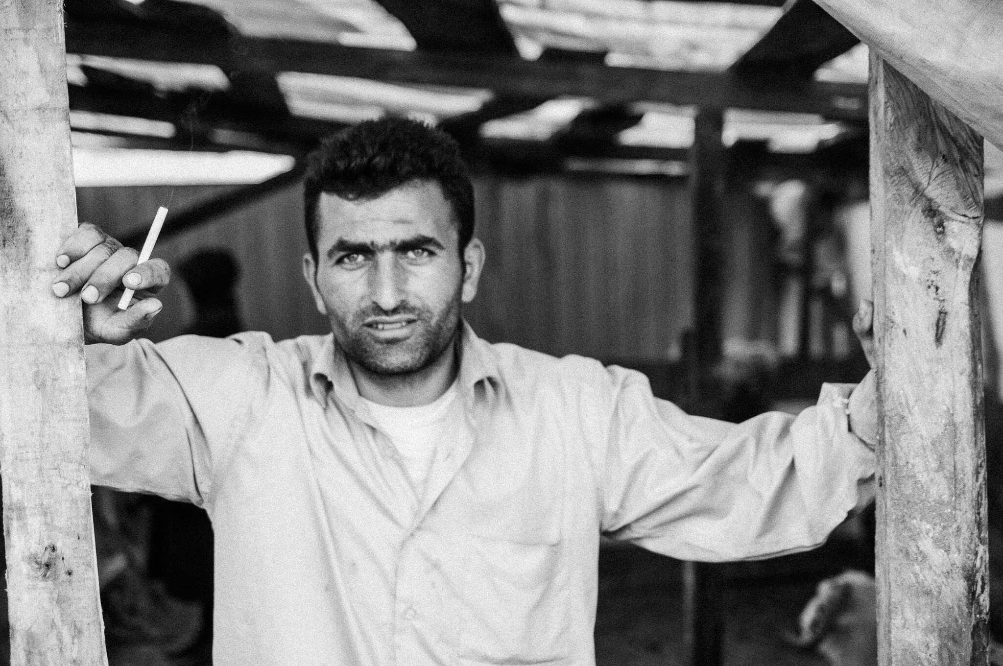 Kurban — The Sacrifice, Feriköy Istanbul 2009, photograph 17, documentary photography by Tarık Kaan Muslu