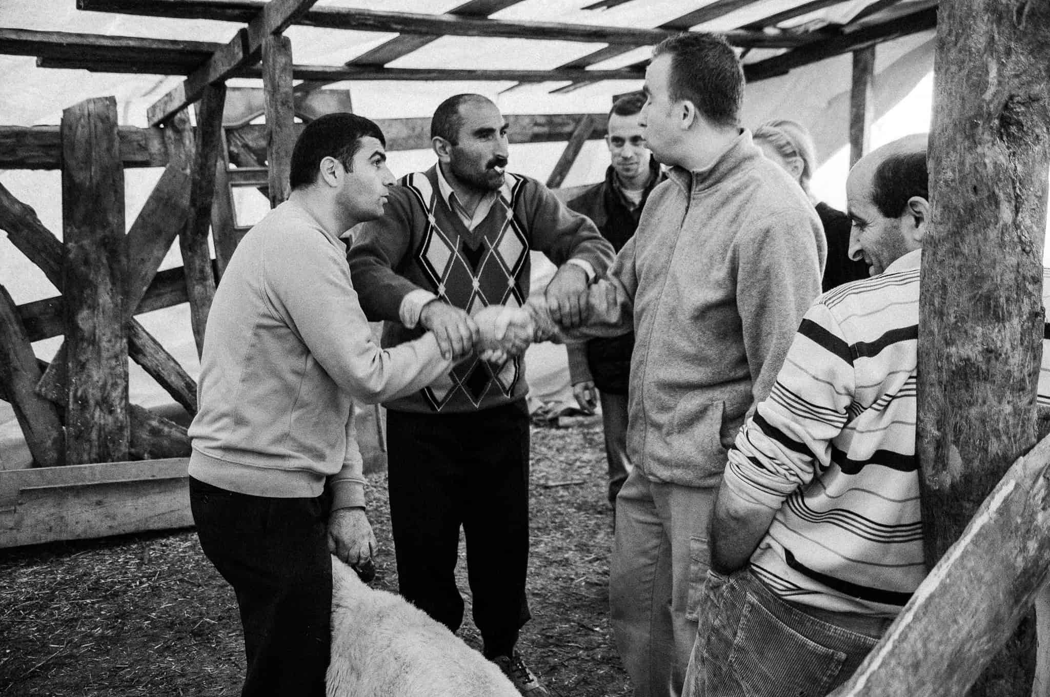 Kurban — The Sacrifice, Feriköy Istanbul 2009, photograph 20, documentary photography by Tarık Kaan Muslu