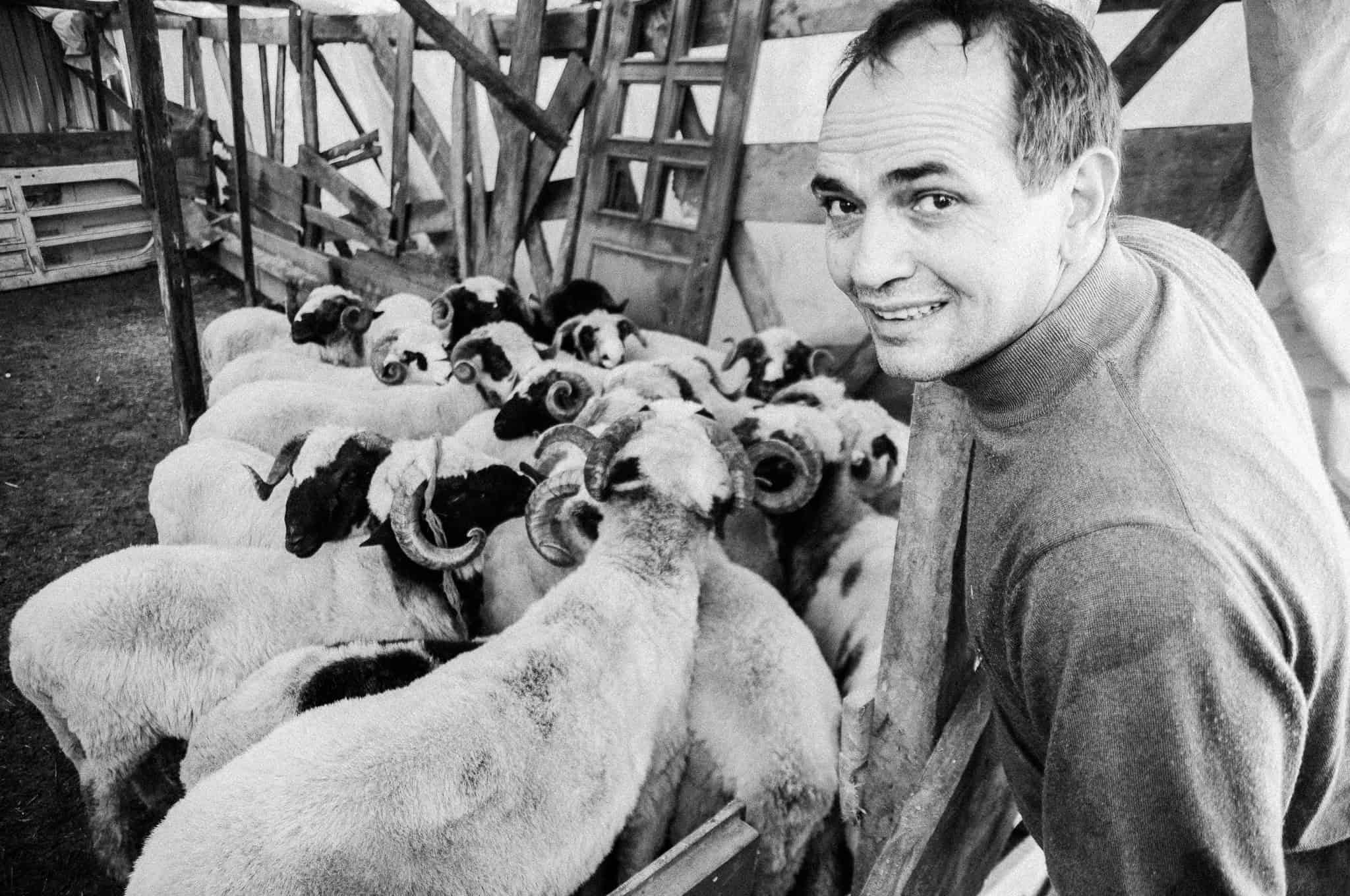 Kurban — The Sacrifice, Feriköy Istanbul 2009, photograph 3, documentary photography by Tarık Kaan Muslu