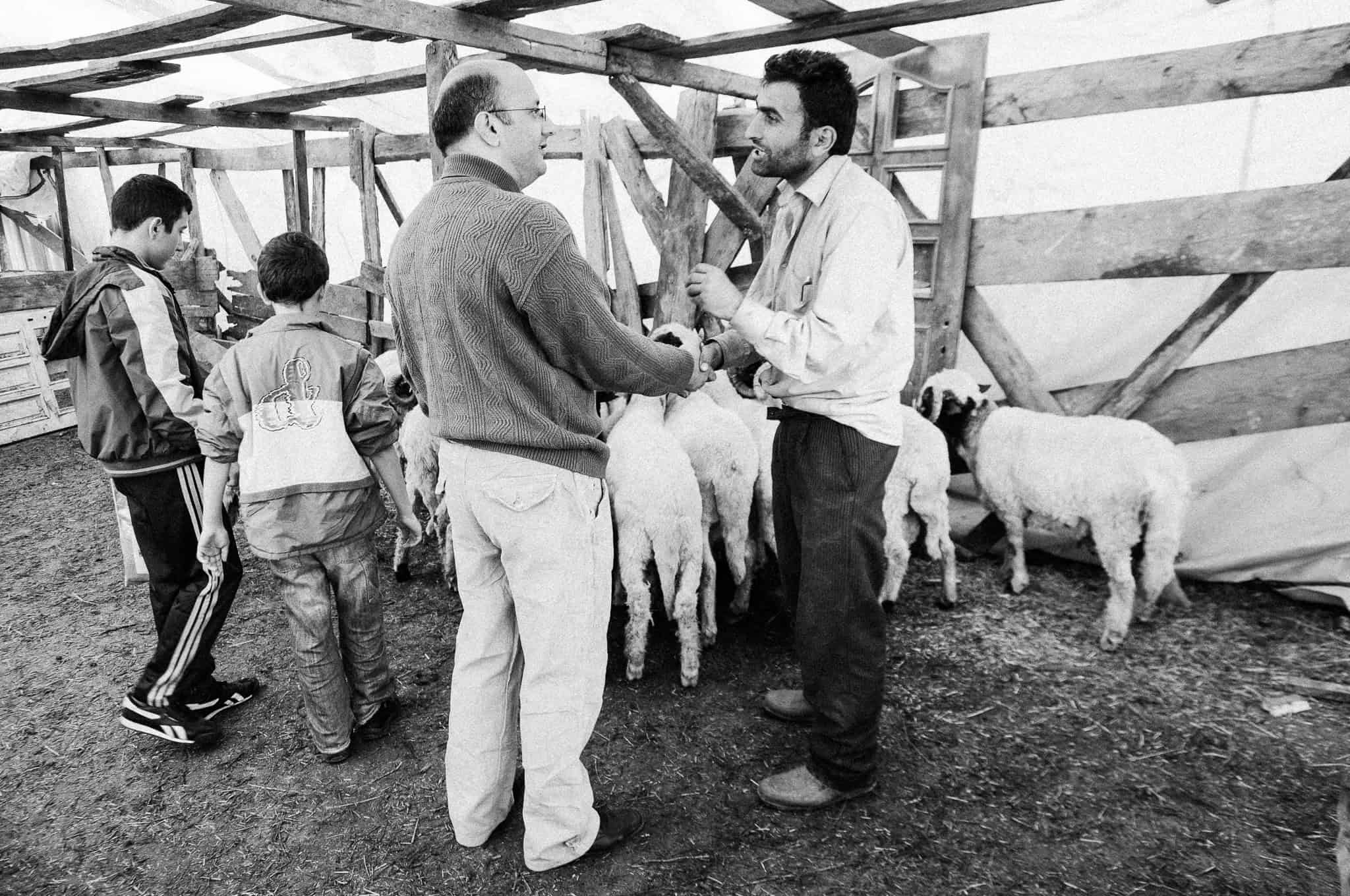 Kurban — The Sacrifice, Feriköy Istanbul 2009, photograph 4, documentary photography by Tarık Kaan Muslu