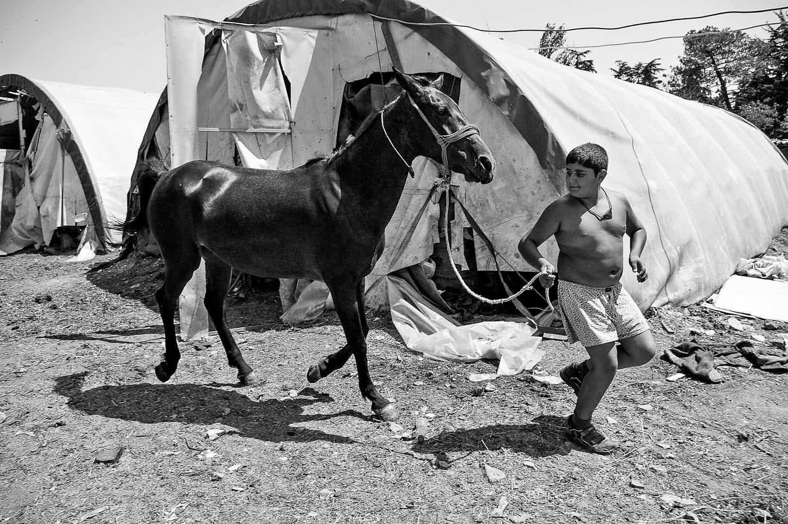 Black and white documentary photograph of a boy leading a horse along a back road near greenhouses and makeshift paddocks, Büyükada, Istanbul, 2014 by Tarık Kaan Muslu
